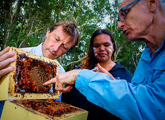 Brisbane-Quandamooka Brisbane-Quandamooka